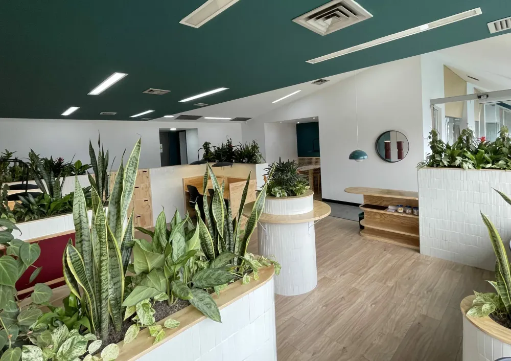 Modern office space with lush green plants and minimalist furniture.
