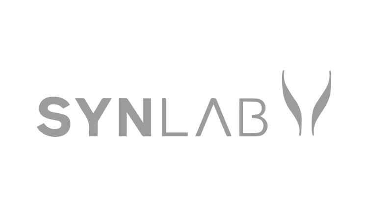 The word 'SYLLABLY' in a grey, blocky font on a white background.