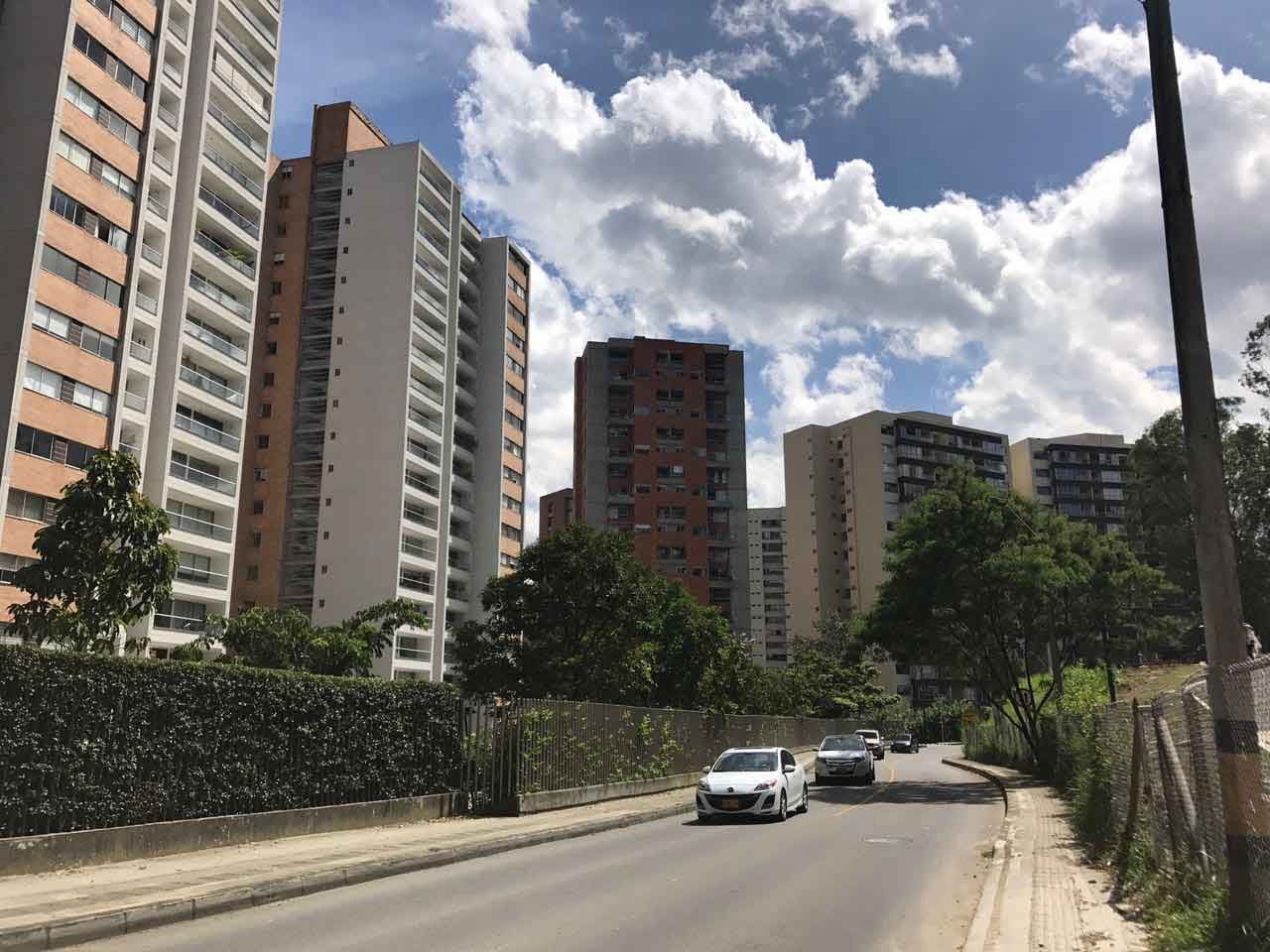 LA DIVERSIDAD DE LA ZONA ALTA DEL POBLADO